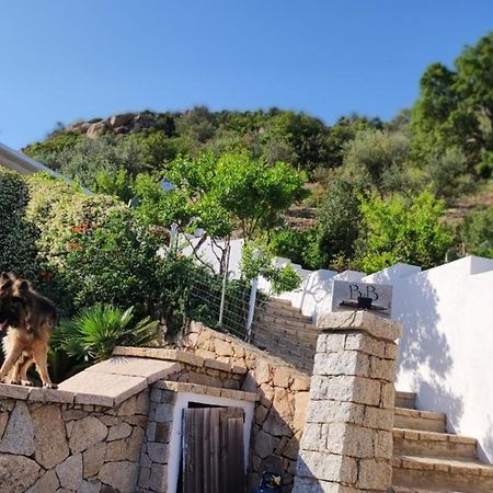 Casa L'Ulivariu Affittacamere San Teodoro  Eksteriør bilde