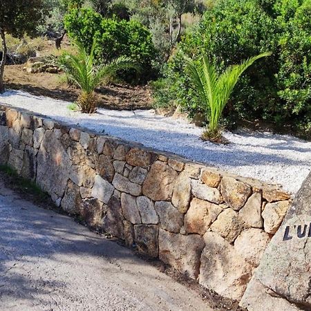 Casa L'Ulivariu Affittacamere San Teodoro  Eksteriør bilde