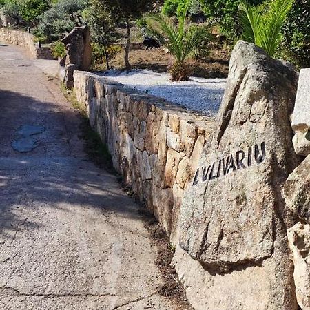 Casa L'Ulivariu Affittacamere San Teodoro  Eksteriør bilde
