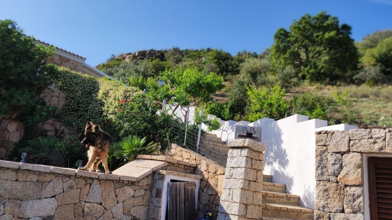 Casa L'Ulivariu Affittacamere San Teodoro  Eksteriør bilde