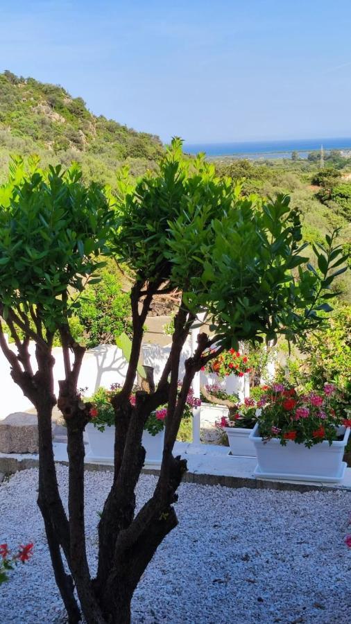 Casa L'Ulivariu Affittacamere San Teodoro  Eksteriør bilde