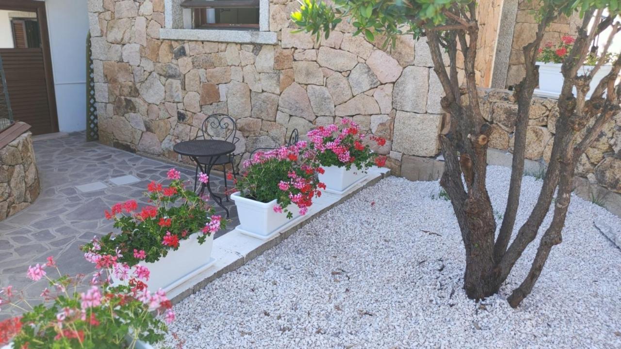 Casa L'Ulivariu Affittacamere San Teodoro  Eksteriør bilde