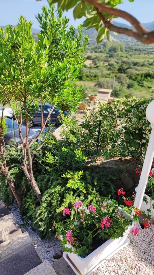 Casa L'Ulivariu Affittacamere San Teodoro  Eksteriør bilde