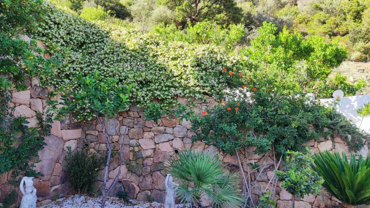 Casa L'Ulivariu Affittacamere San Teodoro  Eksteriør bilde