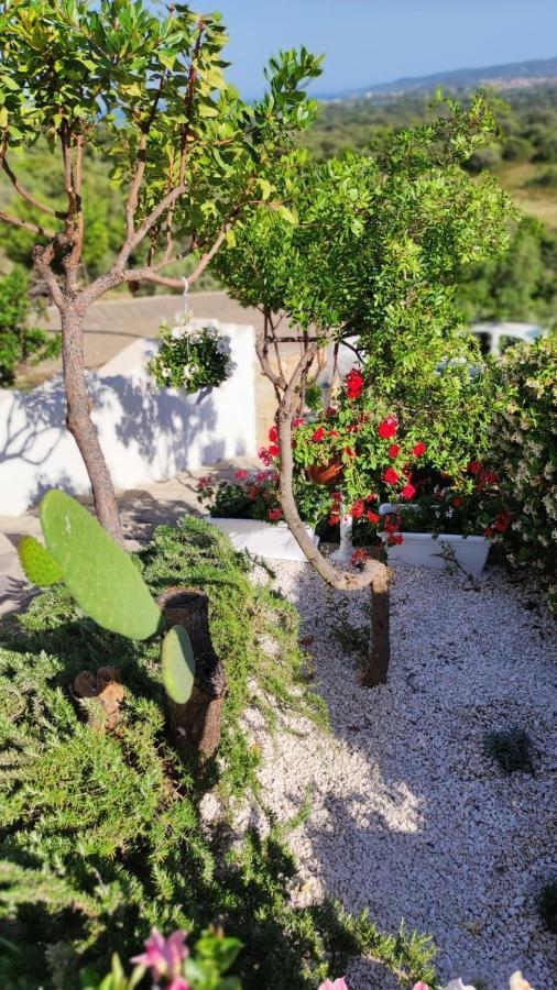 Casa L'Ulivariu Affittacamere San Teodoro  Eksteriør bilde