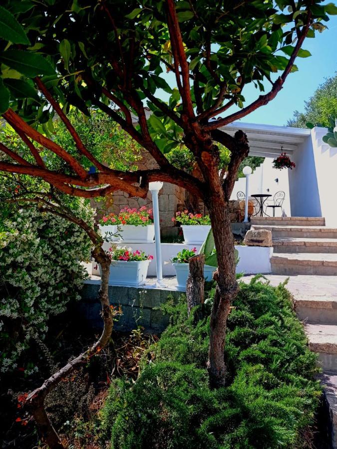 Casa L'Ulivariu Affittacamere San Teodoro  Eksteriør bilde