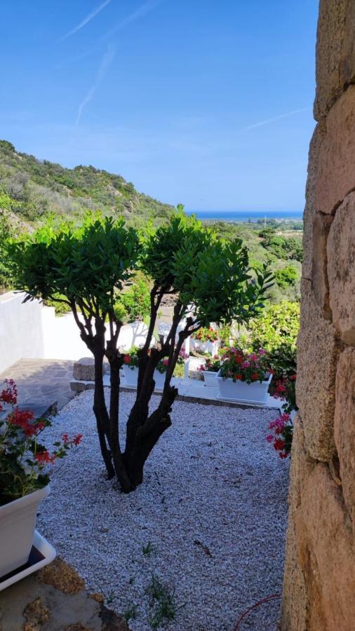 Casa L'Ulivariu Affittacamere San Teodoro  Eksteriør bilde